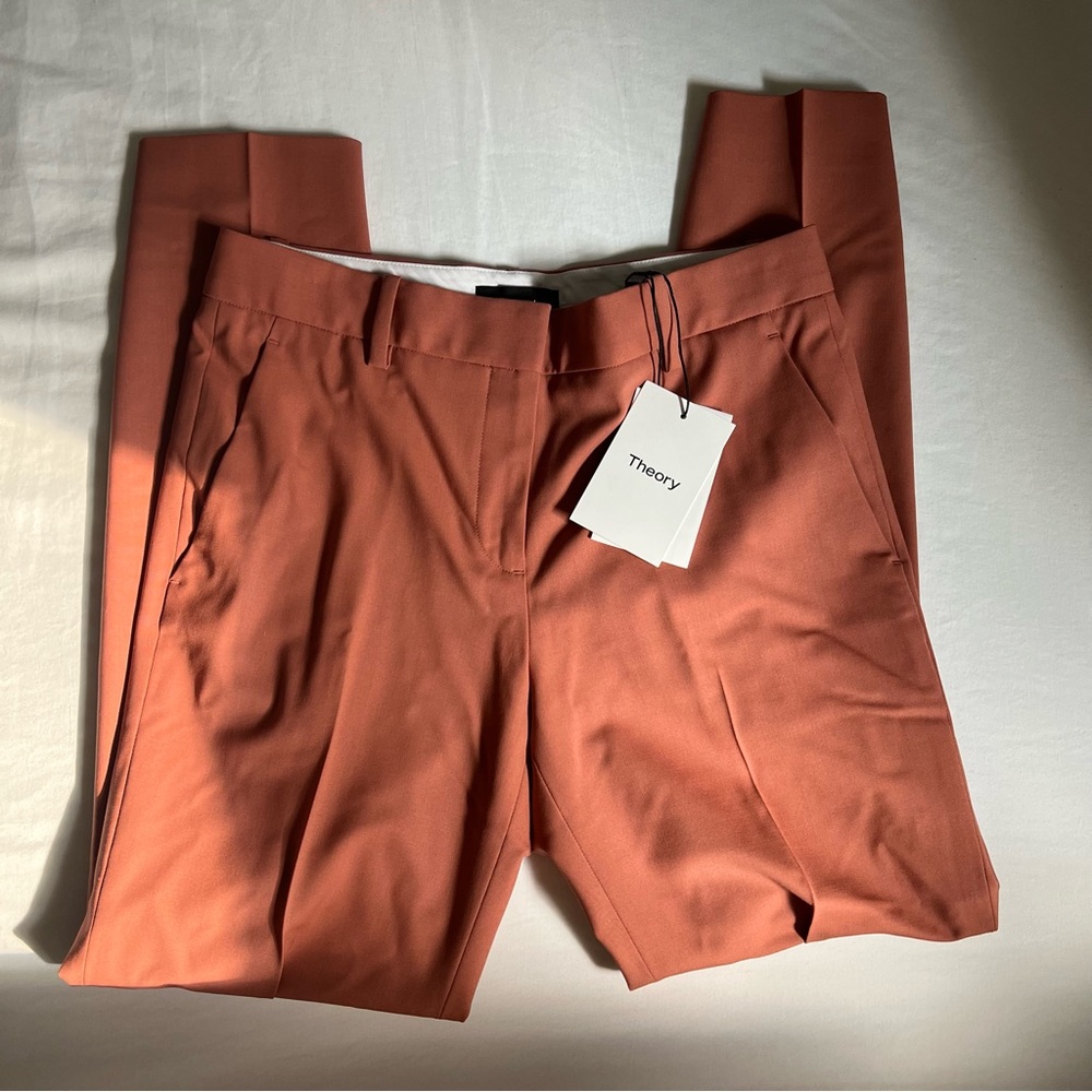 Theory Rust-colored Pants